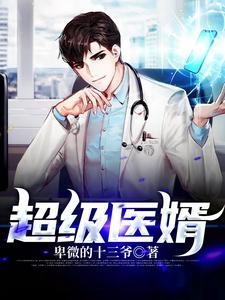 超级医婿 诸葛叶少